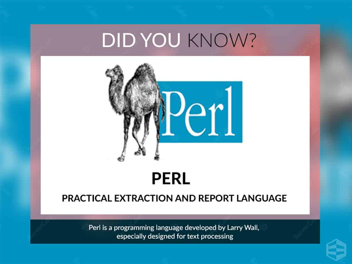 Perl là gì? Vì sao nên sử dụng Perl trong thiết kế website?